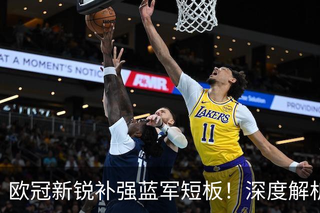 欧冠新锐补强蓝军短板！深度解析巴尔科拉实力与切尔西引援价值